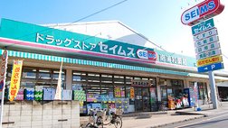 ドラッグセイムス 南浦和店