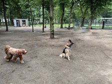 城北中央公園 ドッグラン