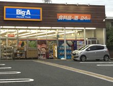 ビッグ・エー相模原共和店