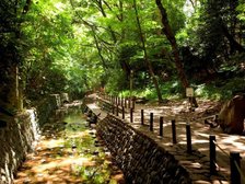 等々力渓谷公園