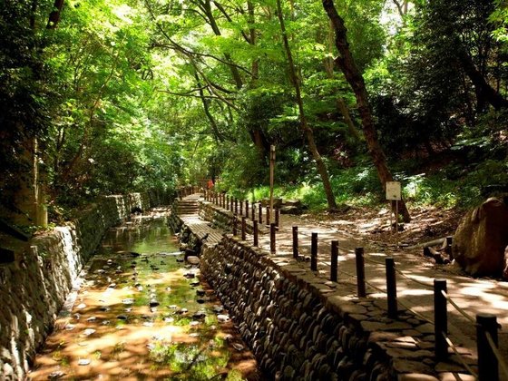 ヘーベルVillage等々力～カルム・ロワジール～