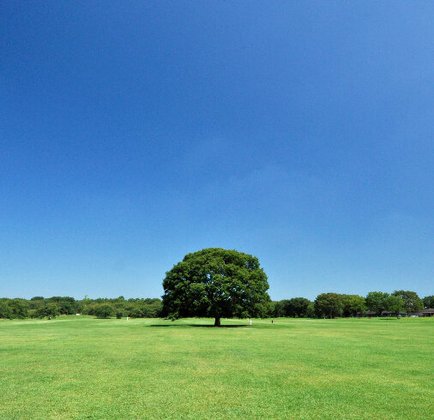 ヘーベルVillage立川昭和記念公園|グラン・シャリオ2昭和記念公園