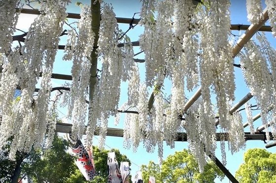 ヘーベルVillage藤沢1丁目|藤沢陣屋小路レジデンス