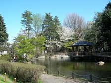 蚕糸の森公園