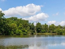 善福寺公園