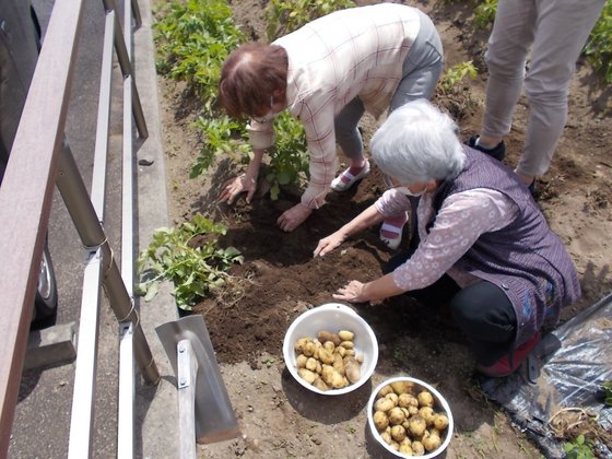 咲楽パークス日高