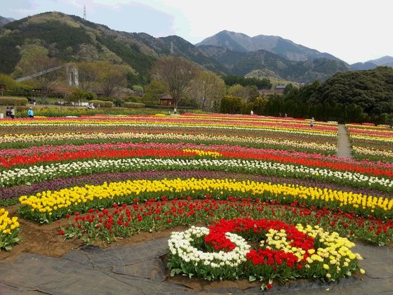 軽費老人ホーム 大山ホーム