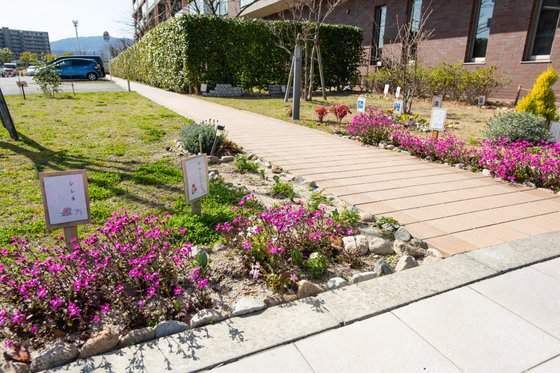 結いホーム宝塚