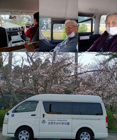 桜の花見ドライブ