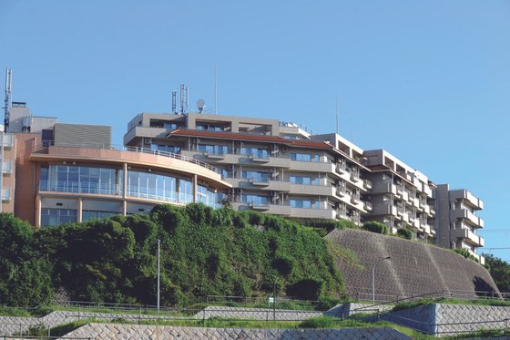 油壺エデンの園