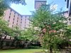 8月の中庭