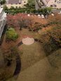 11月の中庭