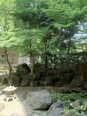 5月の中庭