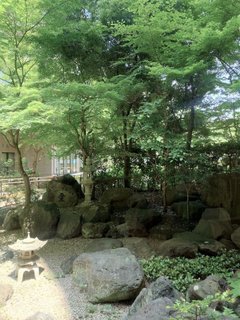 5月の中庭