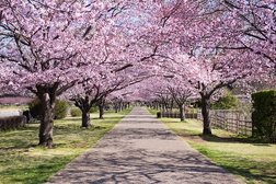 引地川親水公園