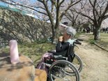 【診療所入院】ゆずり葉公園お花見企画