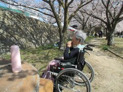 【診療所入院】ゆずり葉公園お花見企画