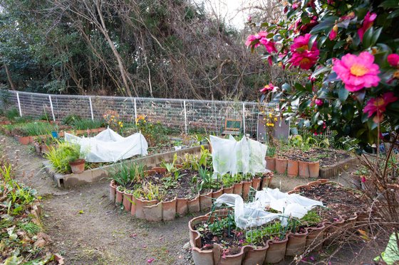 ケアハウス花屋敷
