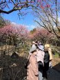 梅鑑賞ツアー