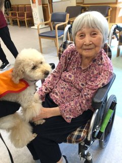 ドッグセラピー