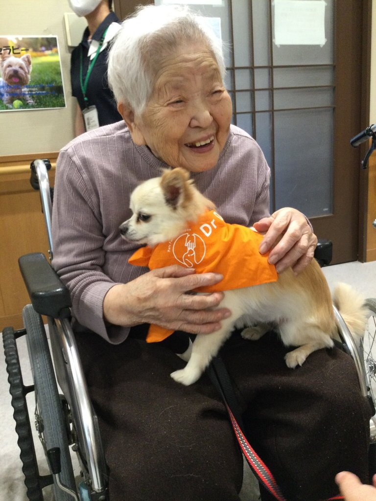 ドッグセラピー｜ケアハウス宝塚(兵庫県宝塚市)｜LIFULL 介護(ライフル
