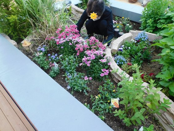 クラーチ・エレガンタ本郷