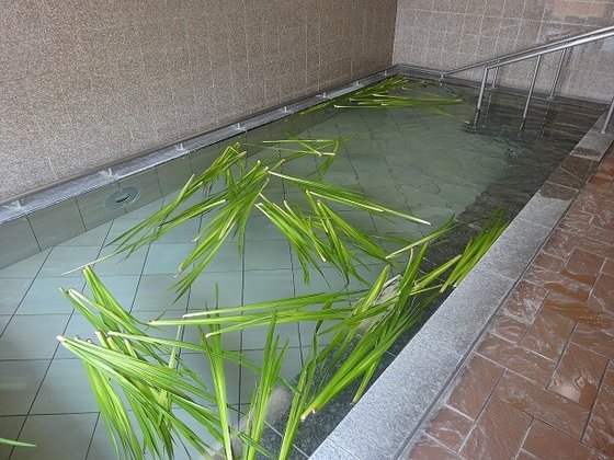 クラーチ・エレガンタ本郷