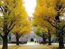 東京大学