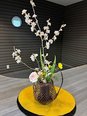 施設にも。。。