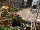 結幸園