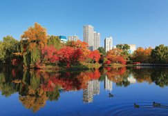 自然や文化と心豊かにふれあえる中島公園。菖蒲池、豊平館