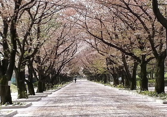 府中若松ガーデン