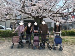 2026「桜」