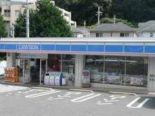 ローソン山の街店