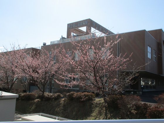 夢無限にらやま