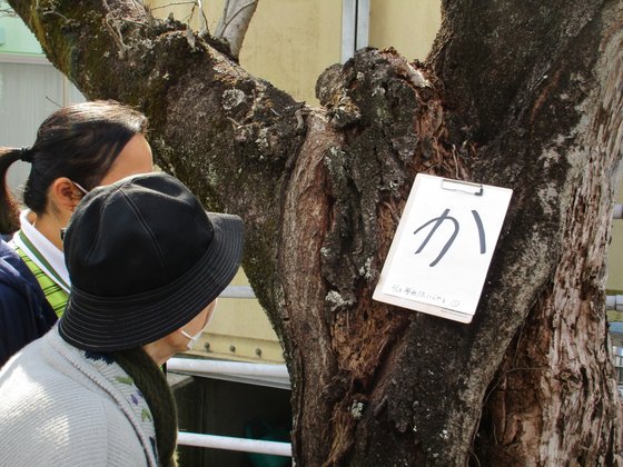 夢無限にらやま