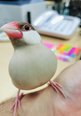 事務職「ブンちゃん」近況紹介