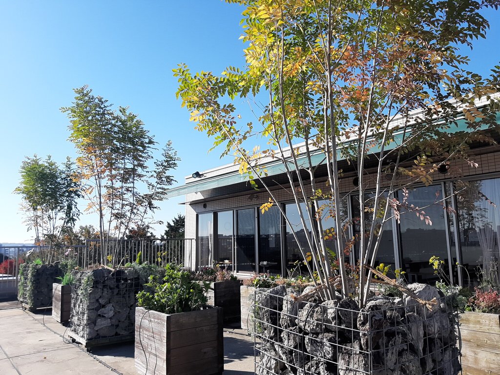 メディケア八事ベルコリーヌ