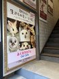 ふくろうカフェ!