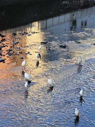 グランドマスト町田