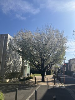 介護保険を利用するには?