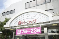 ピーコックストア 都立家政店