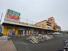 MEGAドン・キホーテ/生鮮館