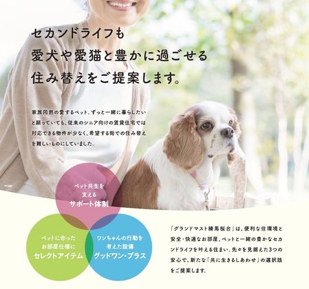 グランドマスト練馬桜台