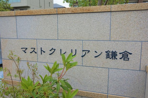 マストクレリアン鎌倉