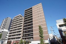 グランドマスト板橋本蓮沼