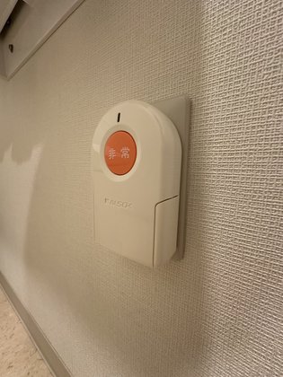 グランドマスト板橋本蓮沼