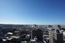 グランドマスト板橋本蓮沼