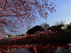 入居者様の散策地、荒子川公園