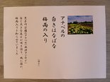 荒古川公園のアジサイの句